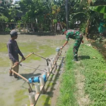 Babinsa Koramil 1406-04/Belawa Dukung Percepatan Tanam Padi di Kelurahan Malakke